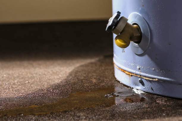 Best Water damage restoration specialists  in Victoria, MN