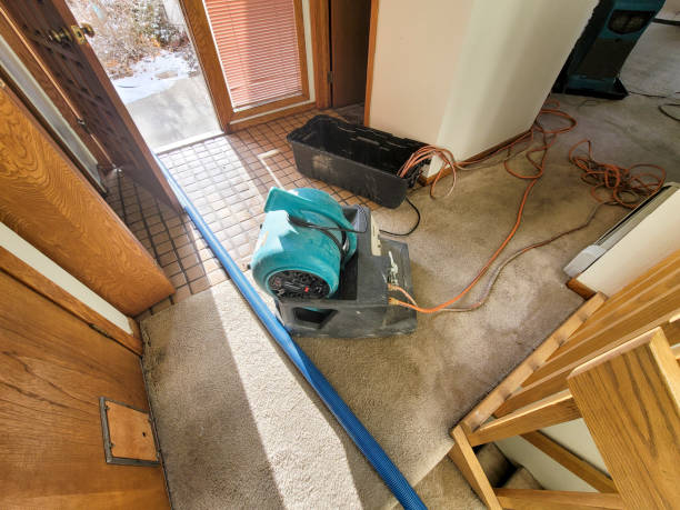 Best 24-hour water damage restoration  in Victoria, MN