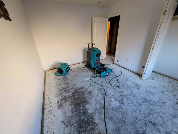 Best Ceiling water damage repair  in Victoria, MN