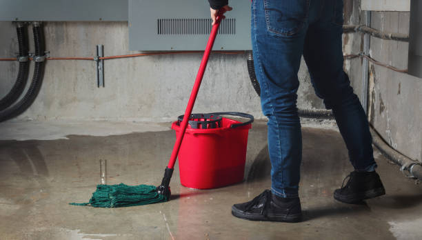 Best Basement water damage restoration  in Victoria, MN