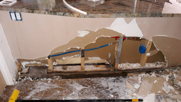 Best Water damage mitigation services  in Victoria, MN