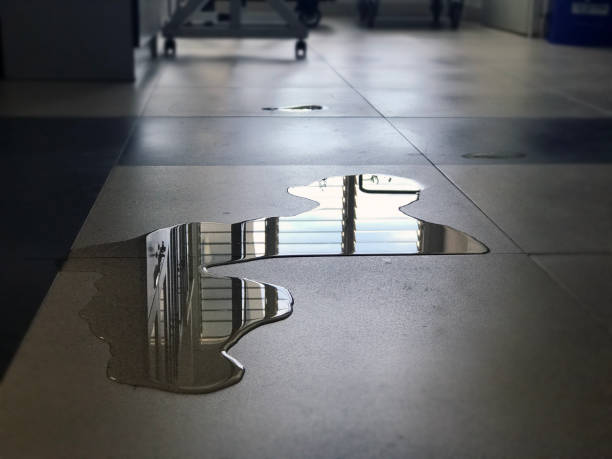 Best Water damage restoration near me  in Victoria, MN
