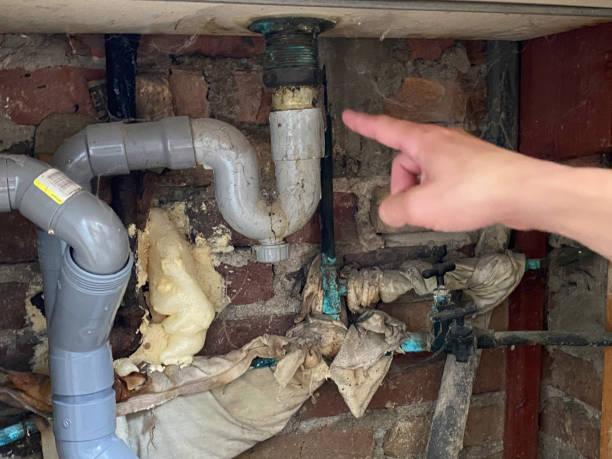 Best Residential water damage restoration  in Victoria, MN