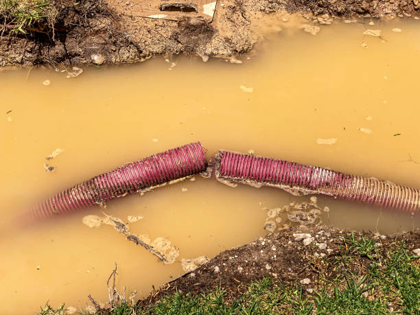 Victoria, MN Water damage restoration Pros