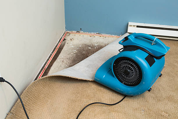 Best Water damage restoration insurance claims  in Victoria, MN